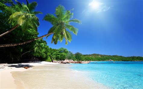 Sunny Beach Desktop Wallpaper #6960518