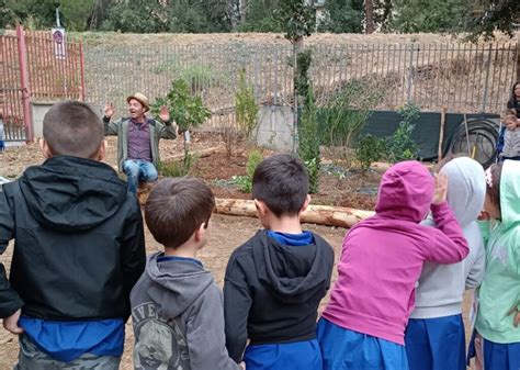 Piante Per Imparare Alla Primaria Mameli Il Bosco Didattico Di Unicoop