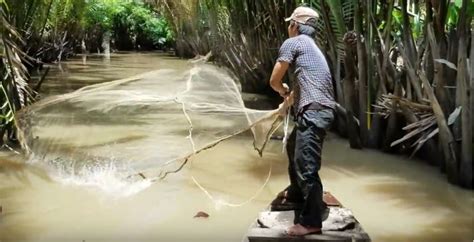 Catching Shrimps With Cast Net And Making Boiled Shrimp With Coconut