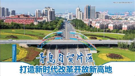 青岛自贸片区打造新时代改革开放新高地凤凰网