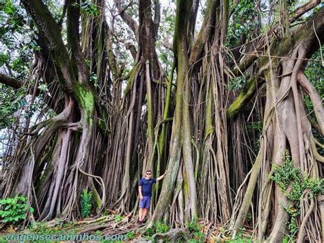 O Que Fazer Em Piracicaba Sp Pontos Tur Sticos Viagens E Caminhos