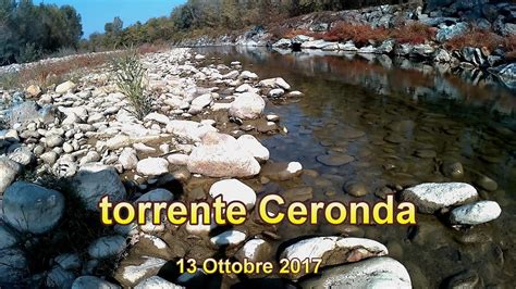 Ceronda Stream October Torrente Ceronda Ottobre Youtube