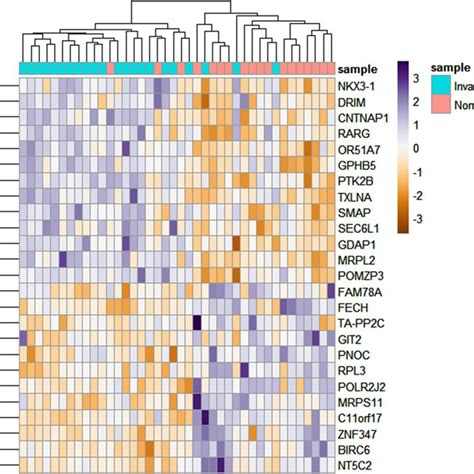 Random Forest Classification This Figure Present 25 Top Importance