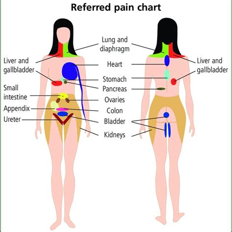 Distribution Of Chest Pain Conditions In An Emergency Department