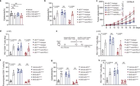 Pd L Enriched In Exosomes Mediated Cd T Cell Suppression Induced By