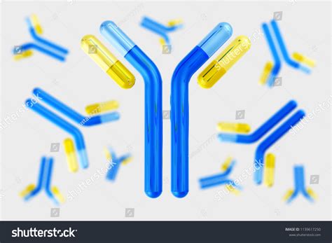 Antibodies Immunoglobulins Immune System 3d Rendering 스톡 일러스트