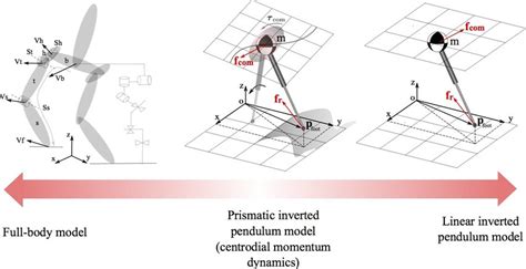 A Spectrum Of Bipedal Locomotion Models Associated With Different