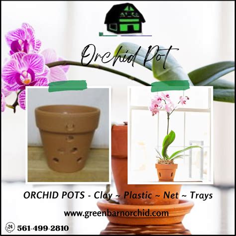 Select The Best Orchid Pots For Repotting Orchids Green Barn Orchid