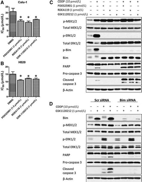 Mek Inhibition Overcomes Cisplatin Resistance Conferred By Sos Mapk Pathway Activation In