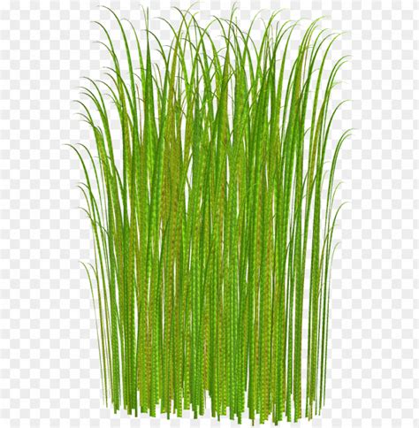 Tall Grass Texture Minecraft