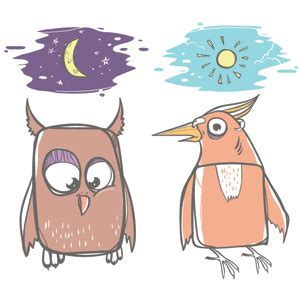 Are you a night owl or an early bird?