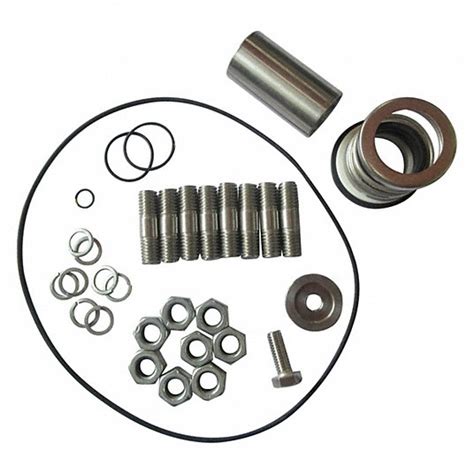 Dayton For Pump Mfr Part Ggs103703 Pump Repair Kit 800vz1ggs