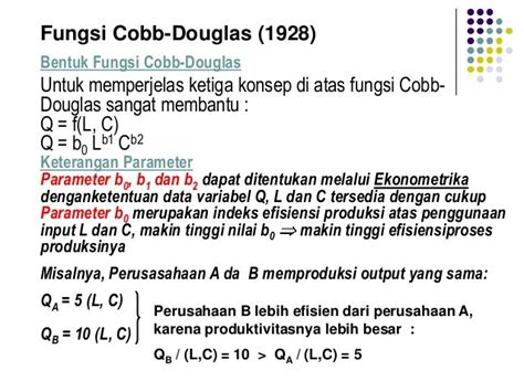 Contoh Soal Fungsi Produksi Cobb Douglas