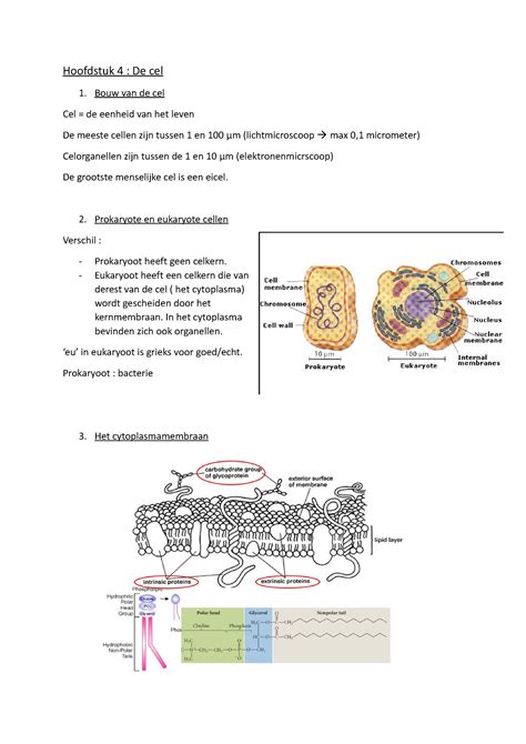 Celbiologie Samenvatting Hoofdstuk Hoofdstuk De Cel Bouw Van