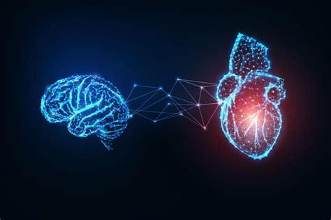 Los Mejores Expertos En Inteligencia Emocional En Espa A