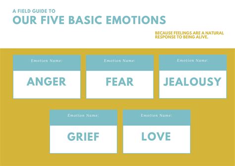 5 Basic Emotions