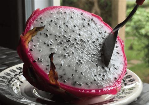 Nicaragua Fruits - 25 Most Exotic Fruits to Not Miss i