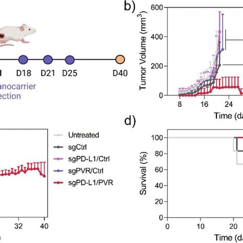 Antitumoral Activity In Vivo A Treatment Schedule Of Cas9 Rnp