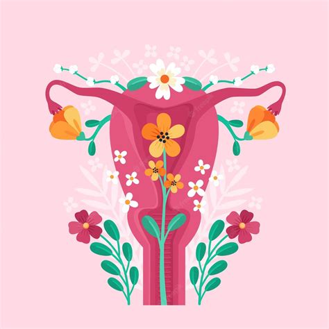 Free Vector Female Reproductive System Illustration With Flowers