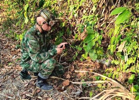 Ejército Destruyó 14 Artefactos Explosivos En Zonas Rurales De Tame Y Arauquita El Diario Del