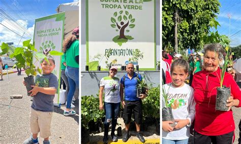 PlantatónHN capitalinos recibieron más de 4 000 arbolitos este domingo