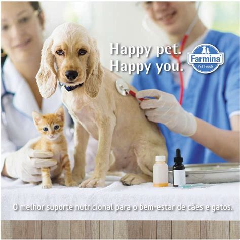 Ração Vet Life Urinary Struvite Gatos Adultos 20kg