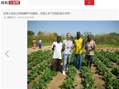 中国助力非洲玉米大丰收，获利的可不止是非洲粮食玉米罗省新浪新闻