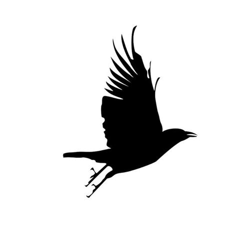 Black Bird Flying Silhouette