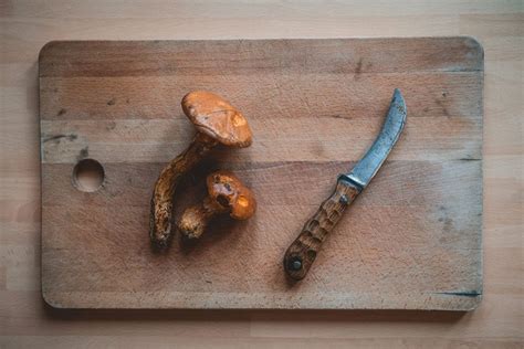 Larch Bolete The Grizzly Forager The Definitive Guide To Foraging