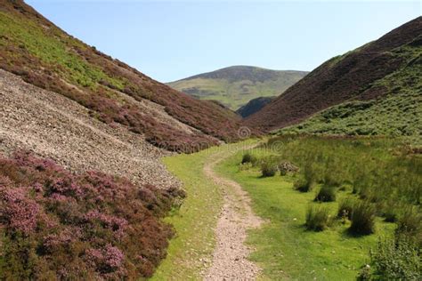 Pentland Hills Regional Park Stock Photo - Image of scottland, growing ...