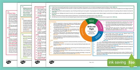 Birds And Flight Second Level Cfe Idl Topic Web