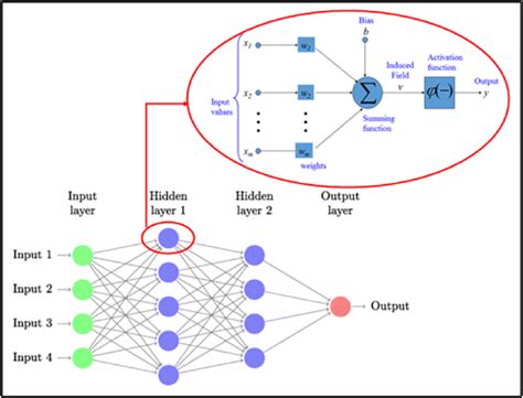 Multi Layers Perceptron Mlp And Formal Neuron Download Scientific