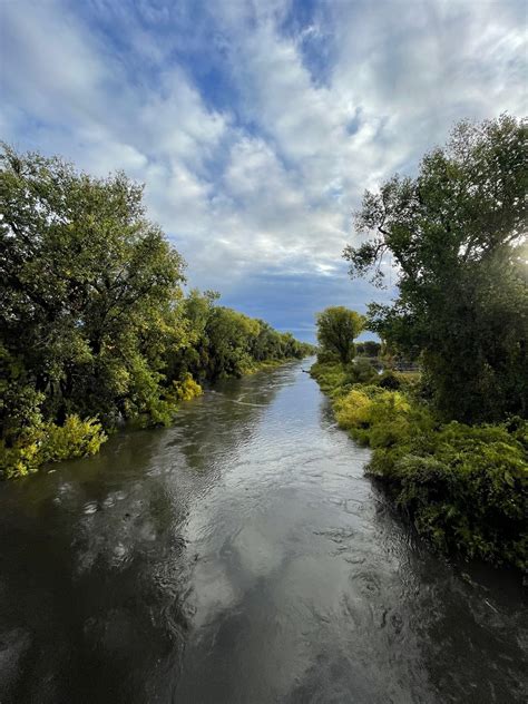 Seen in Natomas: After the Record Rainfall | The Natomas Buzz