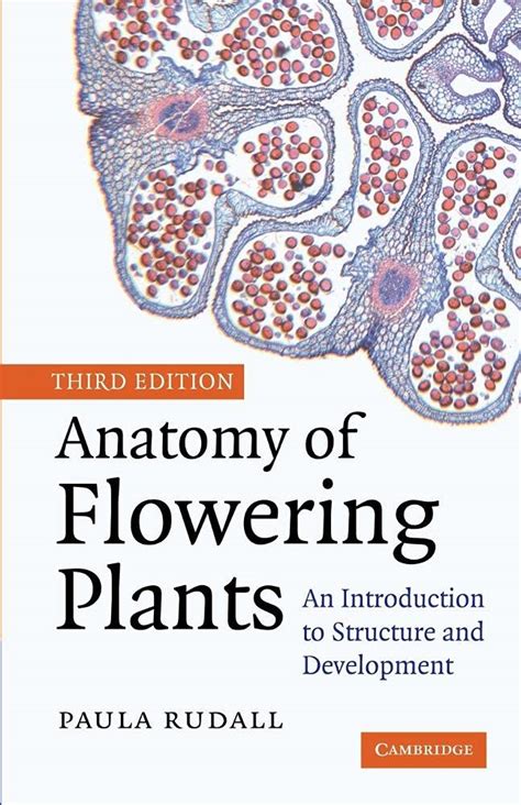 Amazon Anatomy Of Flowering Plants An Introduction To Structure