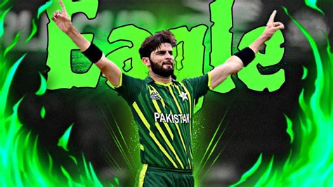 Shaheen Shah Afridi X Eagle Lahore Qalandar Win Daku Status Edits