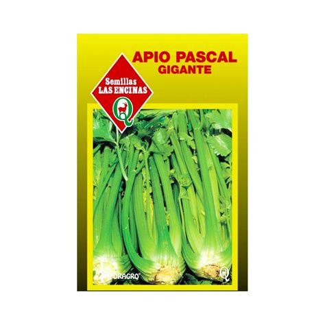 Semillas De Apio Pascal Gigante Rocaverde Chile