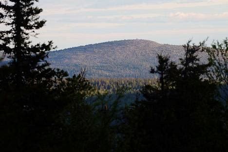 Kysely Valtaosa suomalaisista painottaisi metsien käytössä