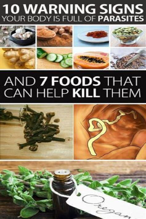 10 Warning Signs Your Body Is Full Of Parasites And 7 Foods That Can