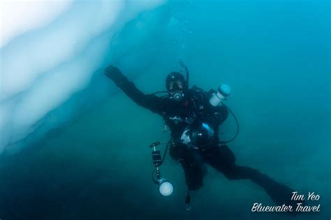 Antarctica Group Trip March 2025 - Bluewater Dive Travel