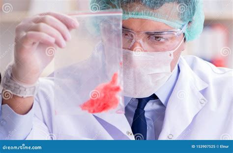 Forensics Investigator Working In Lab On Crime Evidence Stock Image