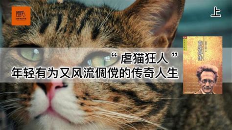 《薛定谔传》“虐猫狂人”年轻有为又风流倜傥的传奇人生【youtube字幕】 好书精读推荐，见识决定格局，读书改变命运 Youtube