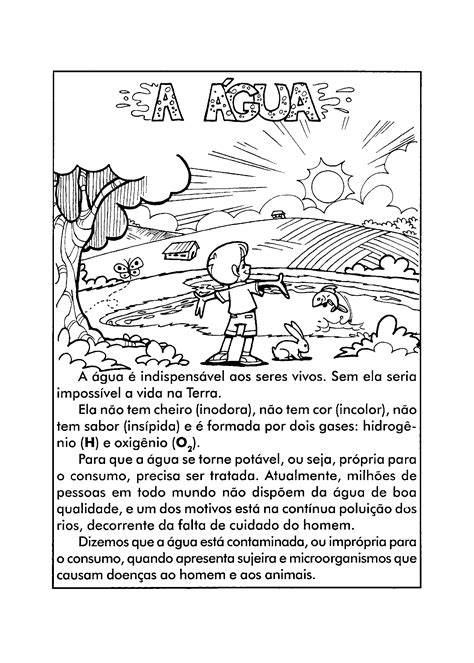 Texto Informativo Sobre El Agua