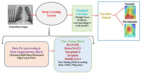 Diagnostics Free Full Text Efficient Pneumonia Detection In Chest