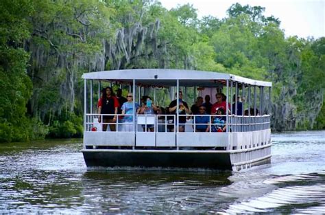 New Orleans Swamp Tour On Covered Pontoon Boat Getyourguide