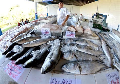 Mercado De Peixe Tem Op Es De Pescado Para Semana Santa Prefeitura