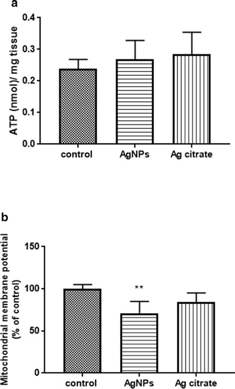 The Level Of ATP Nmol Mg Tissue A And Mitochondrial Membrane