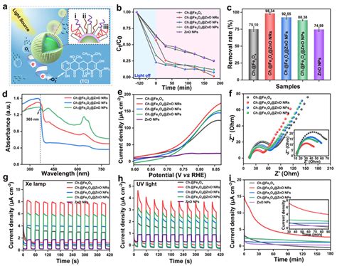 北航蔡军教授课题组《small》：基于微生物模板的可调多级结构海胆状磁性zno微球制造及其光电催化应用腾讯新闻