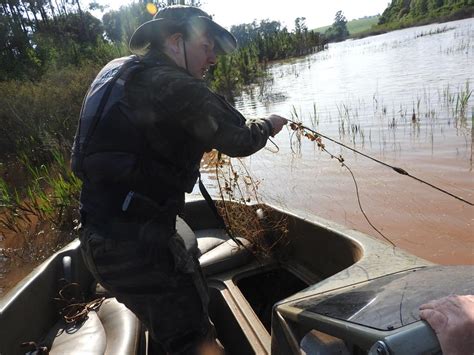 Batalh O Ambiental Da Brigada Militar Realiza Opera O Piracema