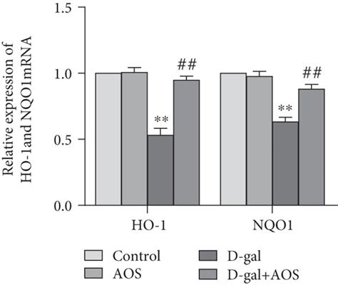 Aos Upregulated The Expression Of Ho 1 And Nqo1 A The Protein