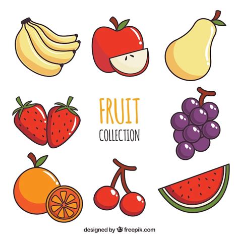 Colección De Ocho Frutas Diferentes Vector Gratis